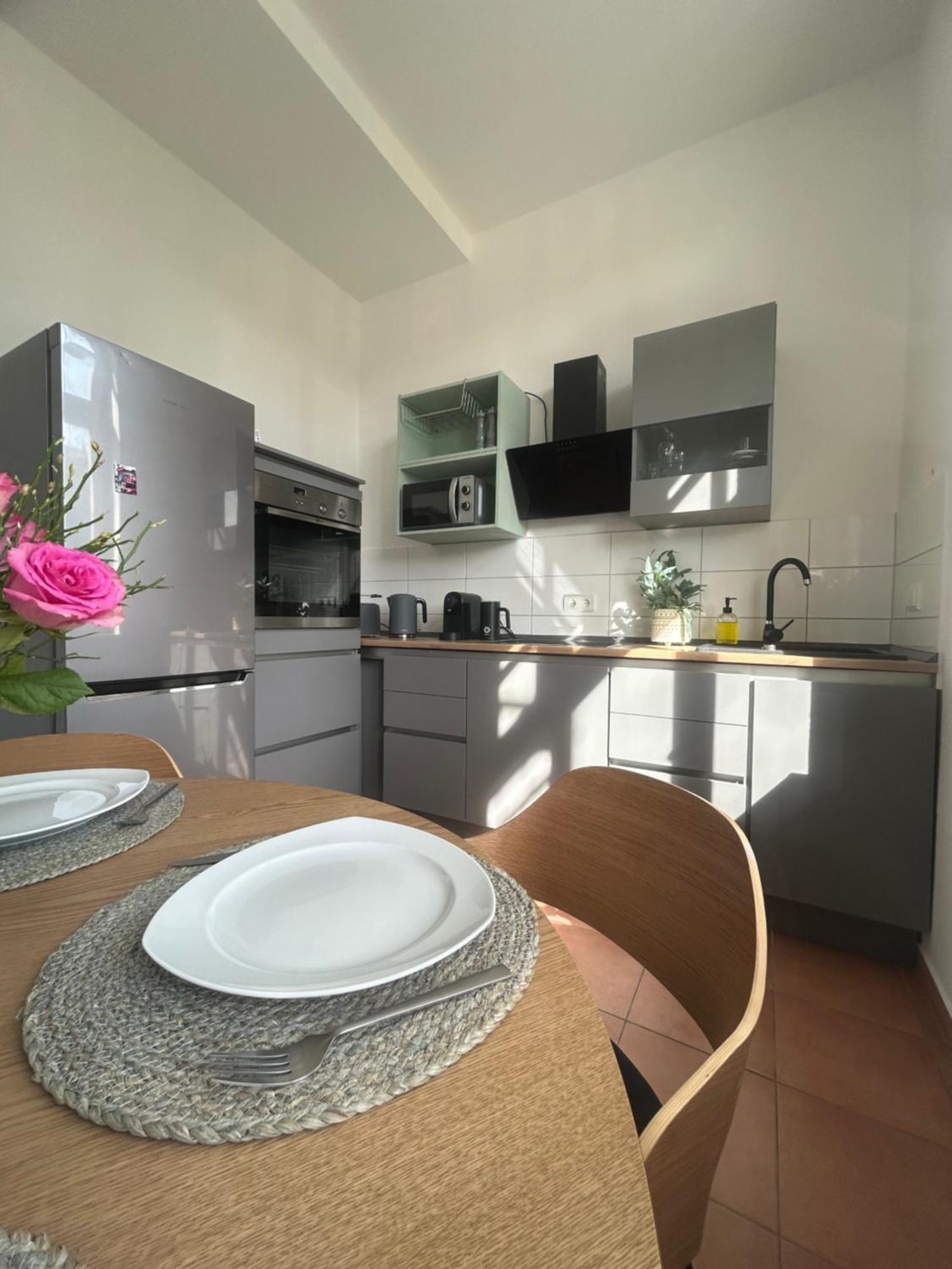 Mintara Komfort Apartment Mit Grill -Terrasse, Sky Und Parkplatz Magdeburg Eksteriør bilde
